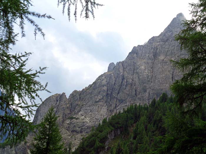 uns drängt es jedoch hinauf zum Ostgrat der Adlerwand