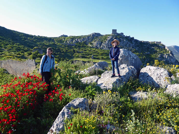 ... durch dichte Blumenfelder - Blick auf den Kernbereich der Festung