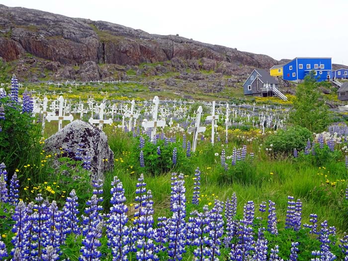 am Friedhof über der Altstadt beginnt unser Aufstieg auf den Alanngorsuaq                               