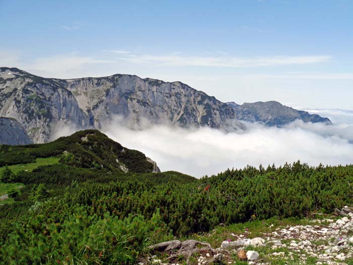 auf der anderen Seite das zentrale und westliche Höllengebirge mit Eiblgupf (s. Archiv) und Brunnkogel