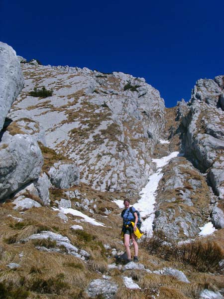 eine relativ zahme Schlucht durchreißt das glatte Gemäuer