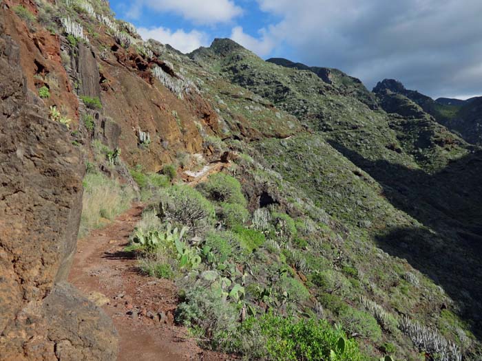 in gemütlicher Steigung leitet der Pfad zwischen Grat und Barranco del Río ...