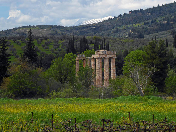 der Zeustempel in Nemea, das durch seinen ausgezeichneten Wein auch außerhalb Griechenlands bekannt geworden ist