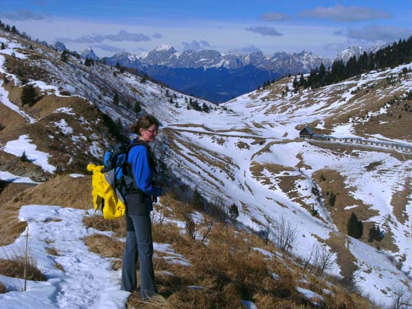 ... und auf die Malga di Clàupa; dahinter der Karnische Hauptkamm