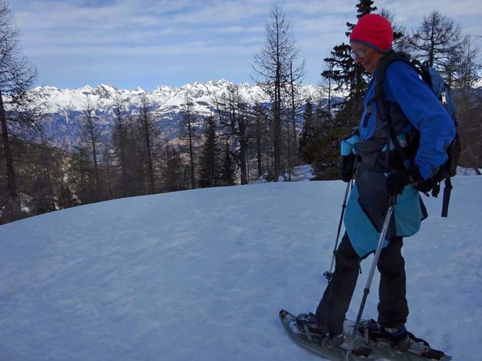 nach der anderen Seite hin geben die Bäume den Blick frei auf die Dreitausender der Schobergruppe (Hohe Tauern)