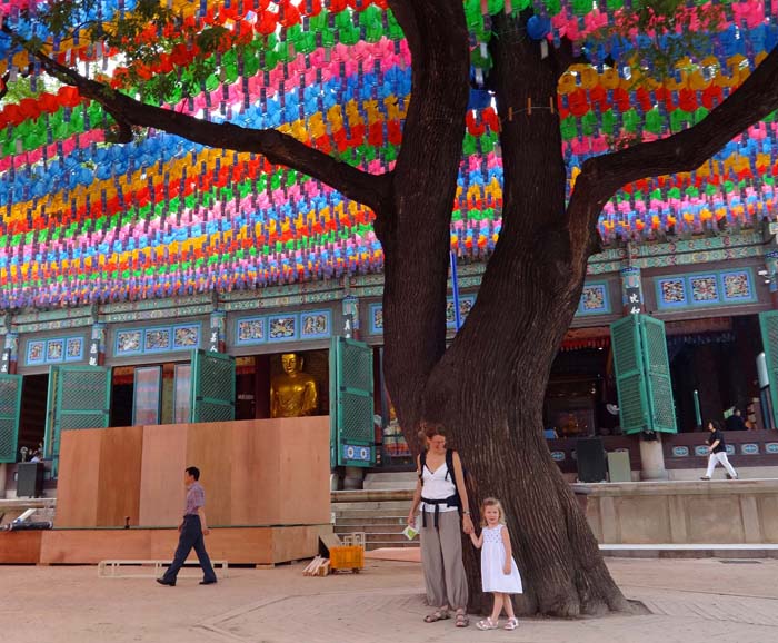 tief vergraben in den Schluchten der Metropole: der Tempel Jogyesa im festlichen Lampionschmuck