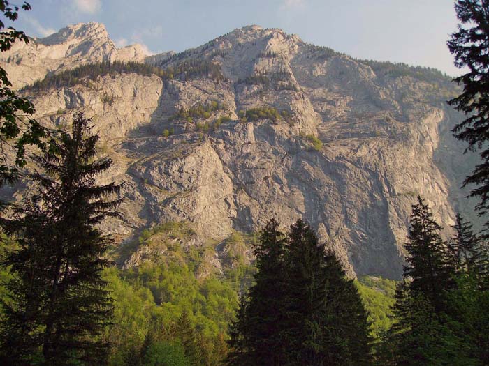 ... welcher an seiner Südseite mit mächtigen Steilwänden abstürzt; in der großen Einbuchtung am Wandfuß in Bildmitte etliche Mehrseillängen-Baseclimbs (s. Archiv Klettern, Bluntautal)