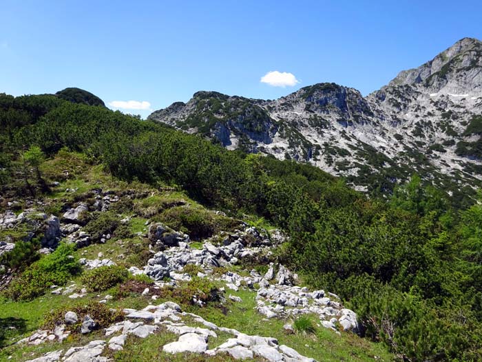 nach knapp hunder Meter nicht die freie Mulde links ausgehen, sondern hinten rechts die Fortsetzung des Steiges finden