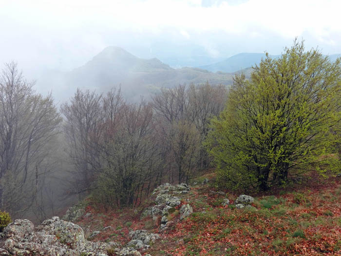 Gipfelblick gegen SO, Nebelfetzen trüben die Aussicht