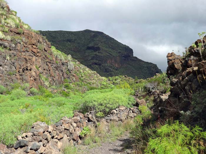 man erreicht ihn entweder von der Küste (Los Gigantes/Puerto de Santiago) 400 Hm aufsteigend durch den netten Barranco de Santiago ...