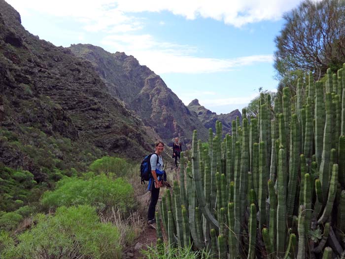 Felsen und exotische Vegetation - die für uns ungewöhnliche Landschaft erinnert an Baja California