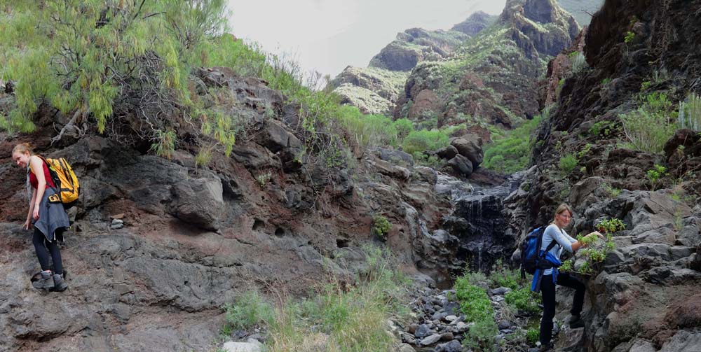 der Barranco wird enger, immer wieder muss die Schluchtseite gewechselt werden