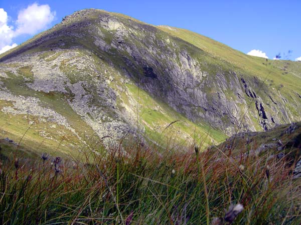 Rückblick vom Hubenbauertörl zum Edelfeld