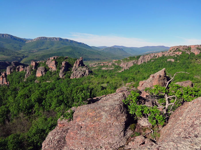 Blick vom „Kloster“ gegen SW auf die Iswoser Felsenkämme und die Gegend von Tschiflik; die winzige freie Kuppe in Bildmitte ...