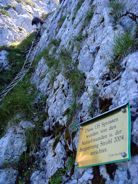 die neu angelegte Leiter in der Rettenkogel Nordflanke