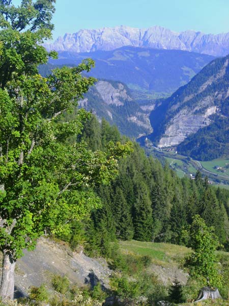 auf dem Weg zur Heinreichalm: Blick aus dem Zechergraben nach N auf Gasteiner Klamm und Hochkönig