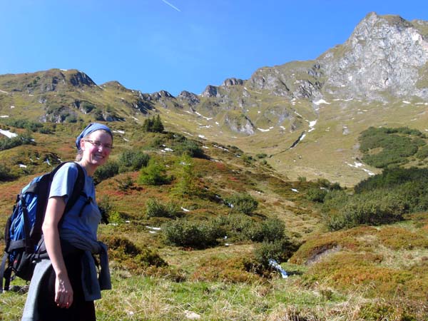 das Kar unterhalb des Sladinkopf SO-Grates ist voller Heidel- und Preiselbeeren