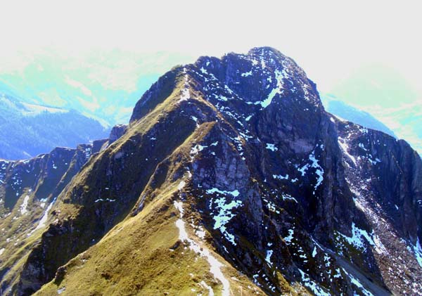 der Grat nach S zum Sladinkopf - stellenweise etwas ausgesetzt, aber immer gutmütig; auch die Schneereste stören nicht wirklich