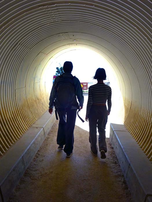 durch einen Tunnel unter dem Highway ...