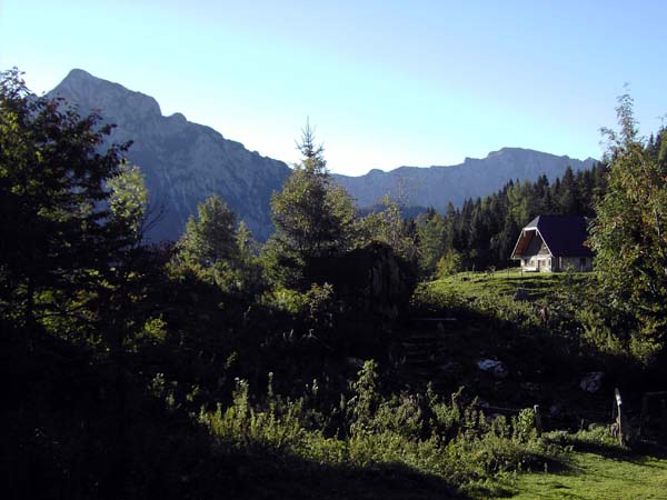 die verträumte Schartenalm mit dem Rinnkogel