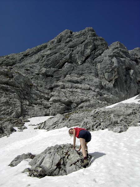 der obere Teil der Schafplan noch schneebedeckt, darüber die NO-Wand zum Ostgrat des Brandleck