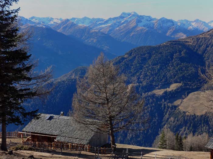 etwas weiter oben die Lackneralm mit Blick übers Virgental zum doppelgipfeligen Lasörling