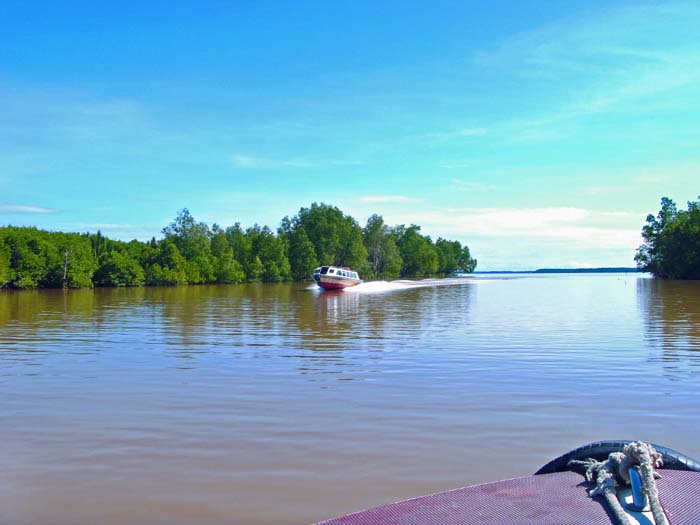 auf den labyrinthartigen Wasserläufen der Brunei Bay überqueren wir kurz malaysisches Hoheitsgewässer