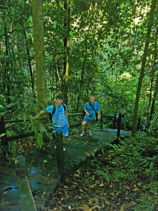 Jörg und Hannes auf den langen Holztreppenreihen, die relativ mühelos die steilen, schlüpfrigen Abschnitte der Patoi NW-Flanke überwinden lassen