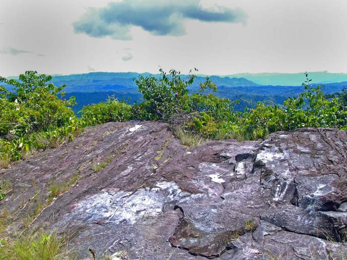 der Bukit Patoi ist einer der wenigen baumfreien Gipfel in dieser Höhenlage