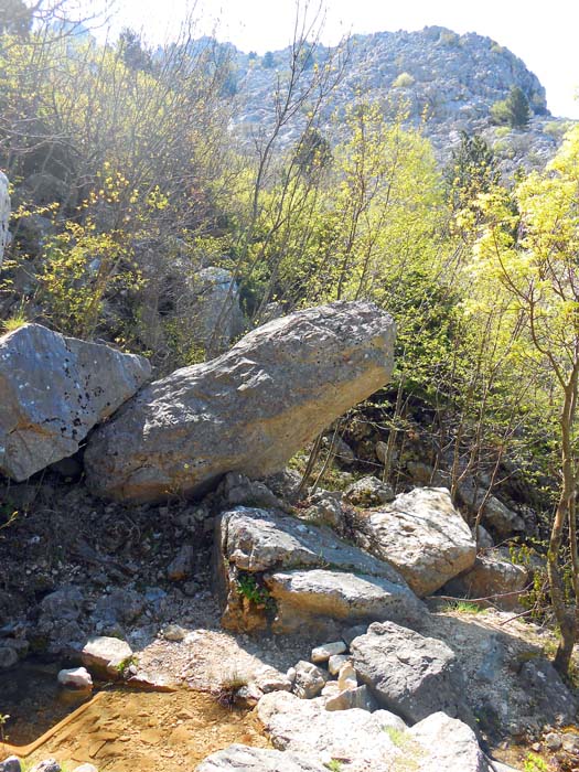 eine Quelle am Weg, darüber der Ansatz des Bukovac NW-Grates