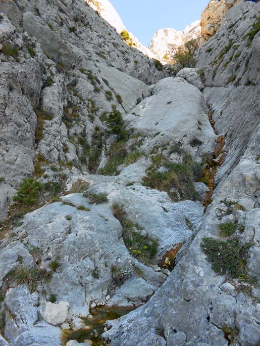 ... in die obere Schlucht bei einer Quelle