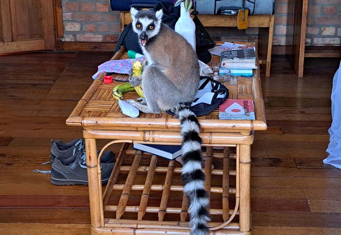 ... ob's drinnen was zu futtern gibt! ... ob's drinnen was zu futtern gibt!