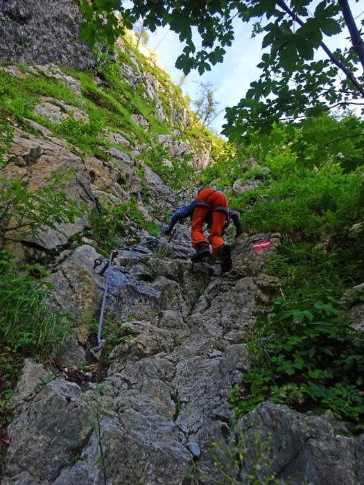 der halbstündige Zustieg zum ersten Klettersteig, dem „Cellonstollen“, ist bis zu den Felsen als Lehrpfad mit Infotafeln ausgestattet; der Hauptanteil des weitläufigen Freilichtmuseums zum Ersten Weltkrieg findet sich am Kleinen Pal östlich über dem Pass