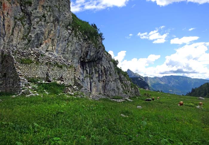 ... zur Casera Collinetta di sopra ...