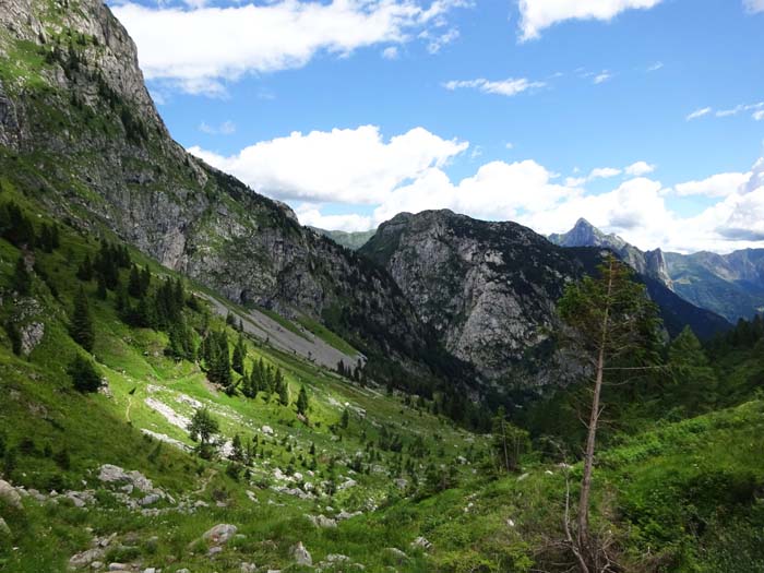 ... und weiter auf dem schon vom „Oberst Gressel“ bekannten Abstieg zum Plöckenpass