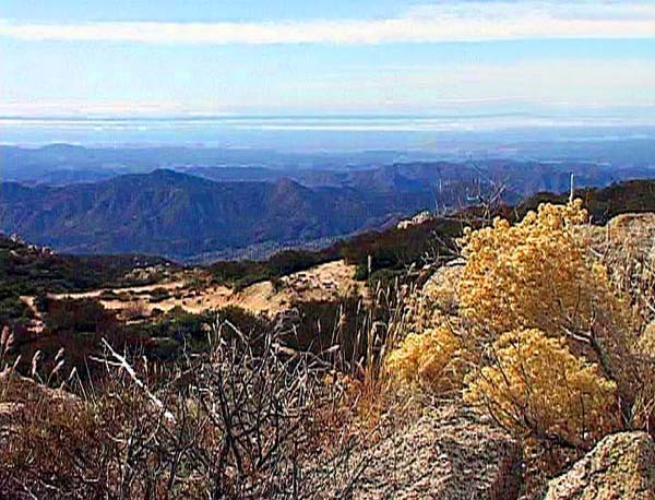 auf der hundert Kilometer langen Zufahrt von der MEX 1 hinauf zum Nationalpark, von Meereshöhe bis auf ca. 2500 m, durchquert man mehrere Vegetationszonen