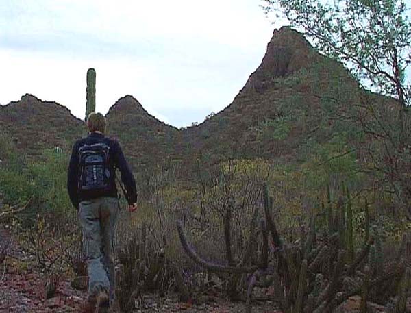 beim ersten Tageslicht nähern wir uns dem Fuß des Berges; der Aufstieg erfolgt durch die dunkle Verschneidung in Gipfelfalllinie und links durch die Wand hinaus auf den Nordgrat