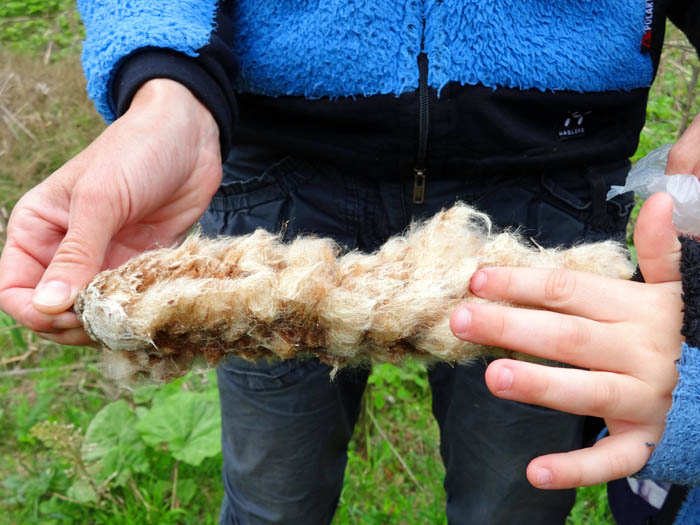 ... die - etwas mit Wachs versetzt - auf Outdoorunternehmungen als idealer Zunder dient