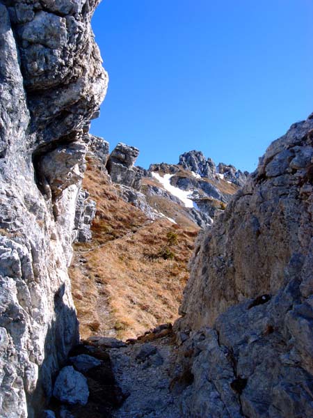 der alte Kriegssteig unterhalb der Kammhöhe