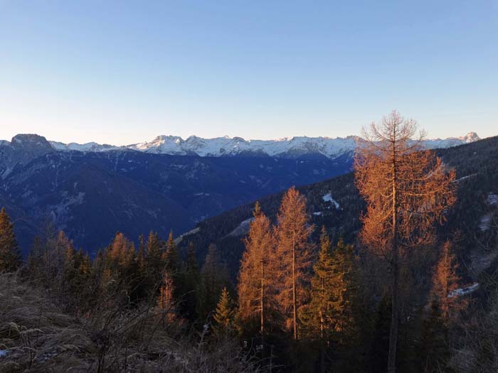 vor dem Karnischen Hauptkamm streicheln erste Sonnenstrahlen die Lärchen