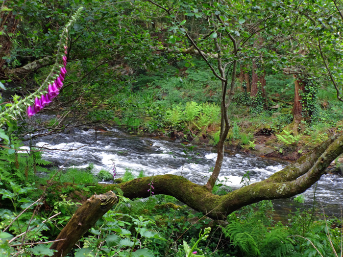 steter Wechsel zwischen leichtem Wildwasser ...