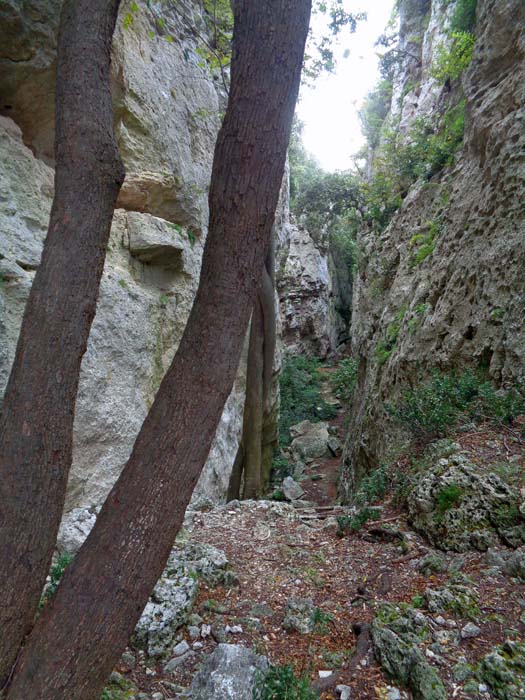 unvermutet verbirgt sich die schmale Schlucht knapp unterm Plateaurand, sie liegt quer hinter einer gigantischen Felsschuppe - dem „Gipfel“ des Anfiteatro