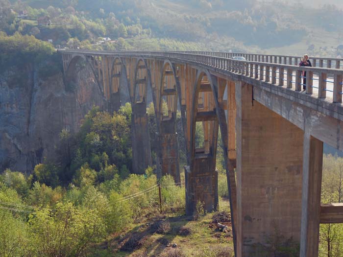 die 350 m lange Tarabrücke zwischen Žabljak und Pljevlja ist die einzige Straßenbrücke am Unterlauf des Flusses. Kurz nach der Fertigstellung im Jahr 1941 ließen die Partisanen den Architekten auch schon wieder den längsten Brückenbogen heraussprengen - zum Schutz vor den deutschen und italienischen Truppen, welche allerdings des Erbauers und gleichzeitig genialen Sprengmeisters habhaft wurden und ihn zur Strafe auf seiner Brücke erschossen. Sehr hohe Politik.