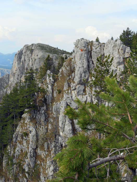 zurück am Südkamm des Čurovac