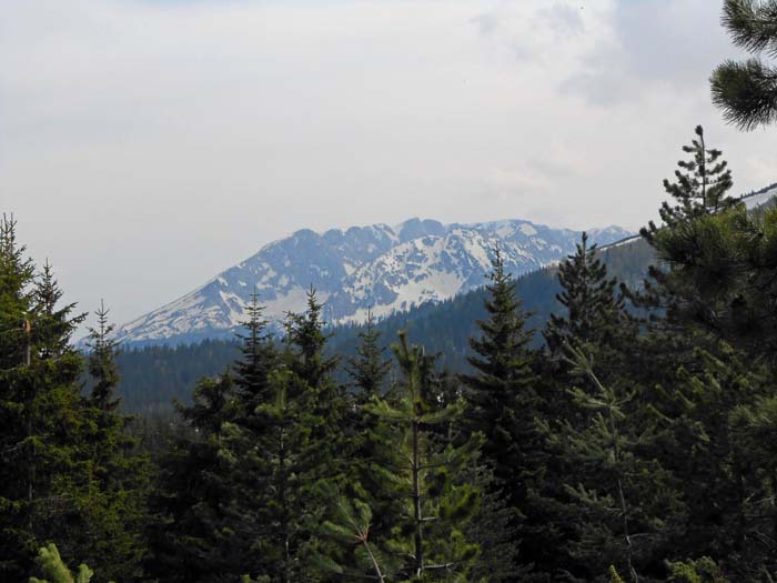 Blick nach S zu den Durmitor-Ostausläufern