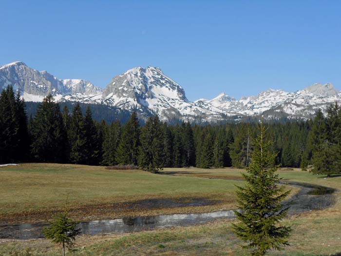 gleich einen Kilometer hinter Žabljak beginnt der Durmitor Nationalpark