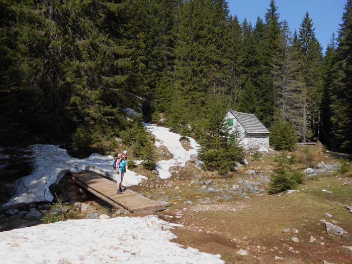 eine schneefreie Lichtung an der unteren Mühle