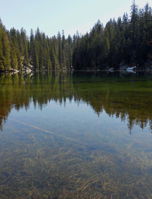 idyllische Waldeinsamkeit am Zminje jezero, dem Schlangensee