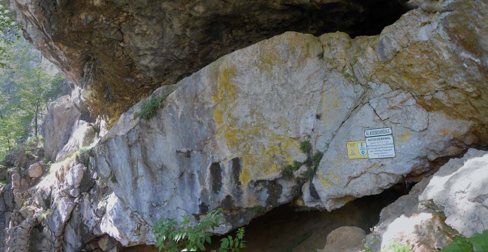 rechts des Einstieges zum Klettersteig liegt am Wandfuß die halb im Wald verborgene Klausbachhöhle; in der Drachenhalle tief im Inneren findet sich ein See, der die nahe Karstquelle speist