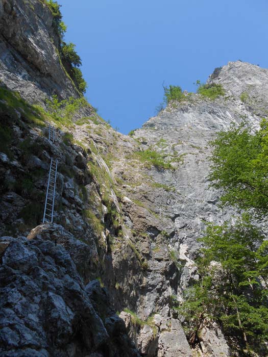 steile Leitern führen durch die Einstiegswand hinauf ...